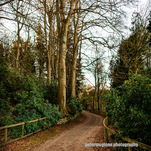 Woodland Track, Tayfield