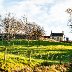 Wee Cottage, Balmerino