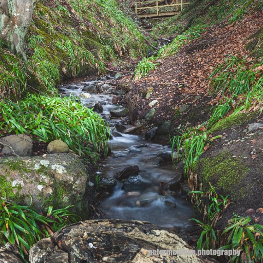 The Wee Bridge At Balmerino