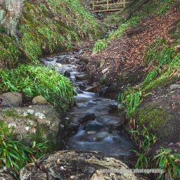 Wee Bridge At Balmerino.jpg