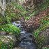 Wee Bridge At Balmerino