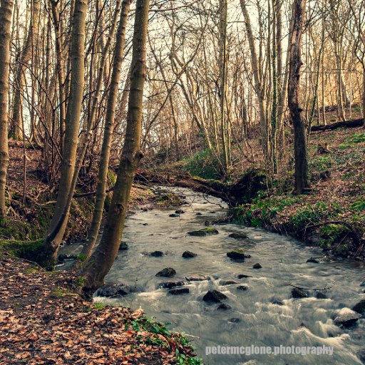 Dunino Den, Fife