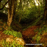 The Wee Burn, Balmerino