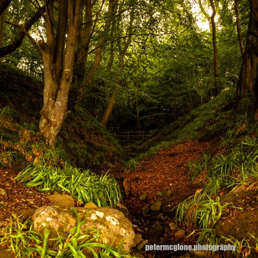 The Wee Burn, Balmerino