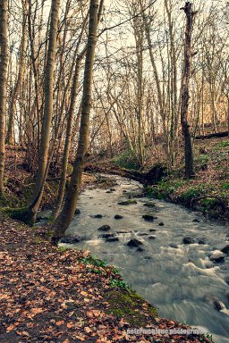 Dunino Den, Fife