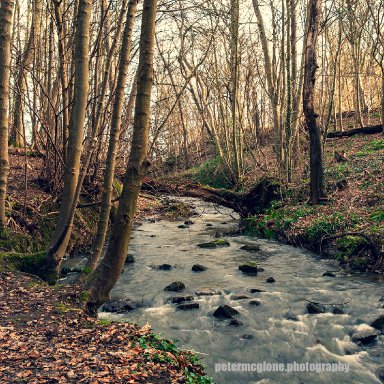 Dunino Den, Fife