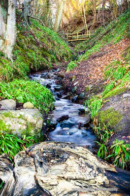 The Wee Bridge At Balmerino