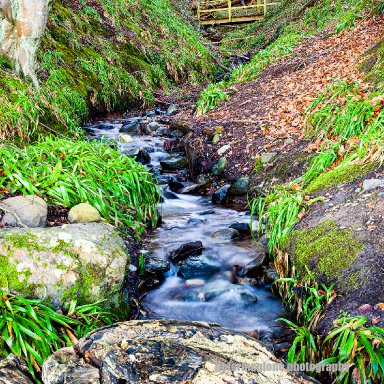 The Wee Bridge At Balmerino