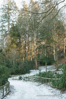 Winter Path, Tayfield