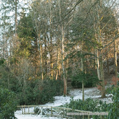 Winter Path, Tayfield