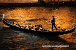 Golden Gondolier