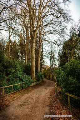 Woodland Track, Tayfield