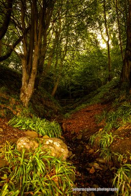 The Wee Burn, Balmerino