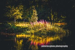 Reflections, Tayfield Estate, Newport, Fife