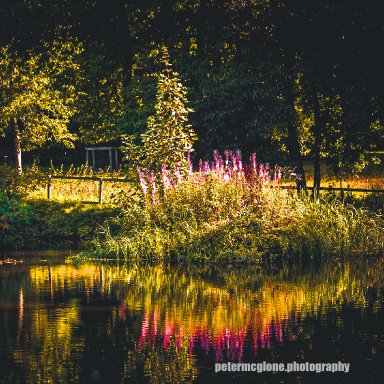 Reflections, Tayfield Estate, Newport, Fife