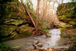 The Overhang, Dunino Den